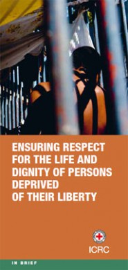 Ensuring respect for the life and dignity of persons deprived of their liberty