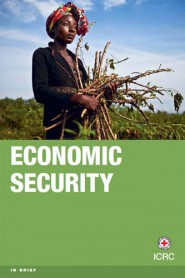 Economic security